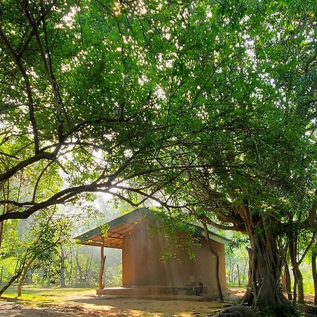 Clay Hut Village Polonnaruva Kültér fotó