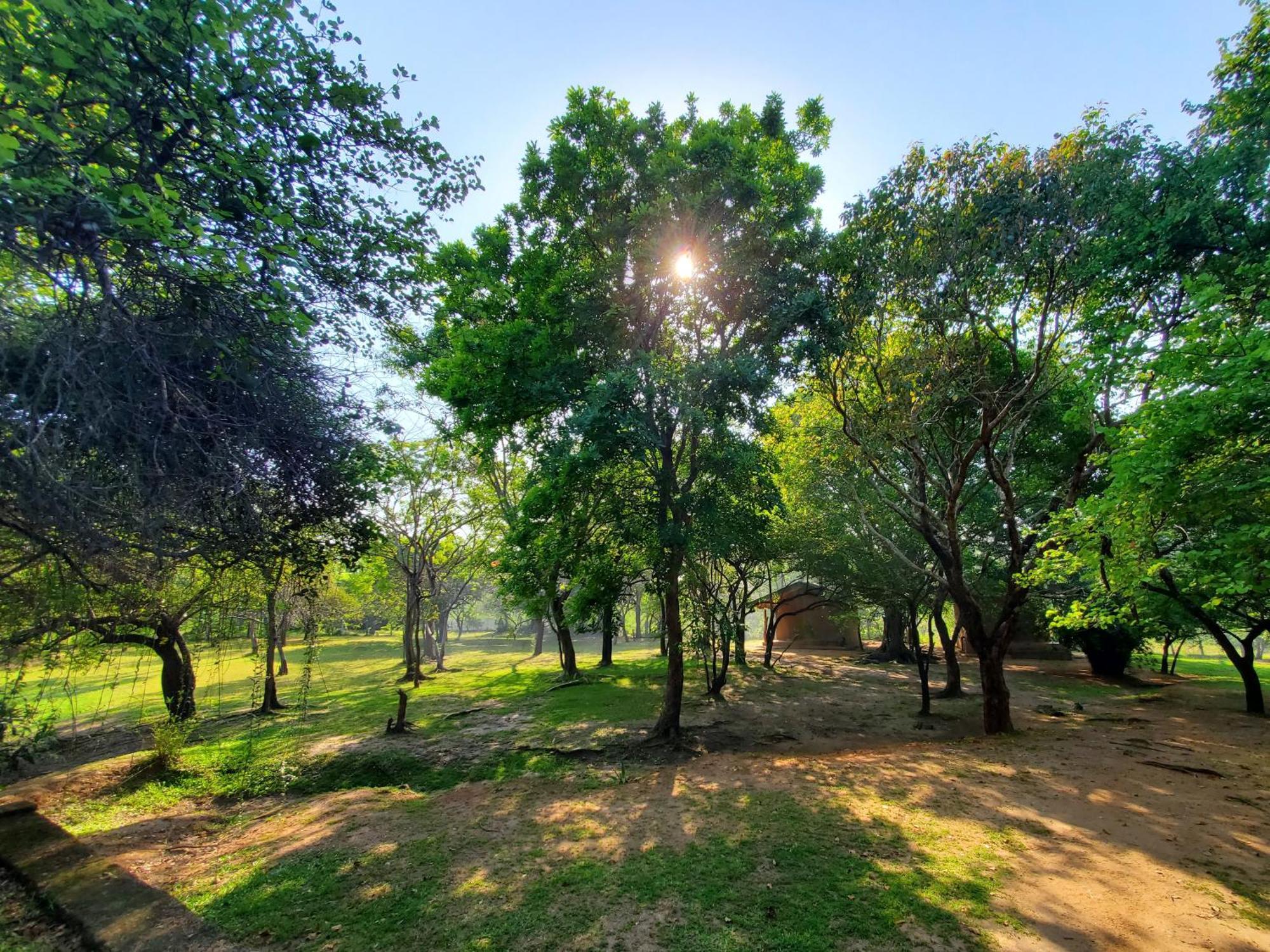 Clay Hut Village Polonnaruva Kültér fotó