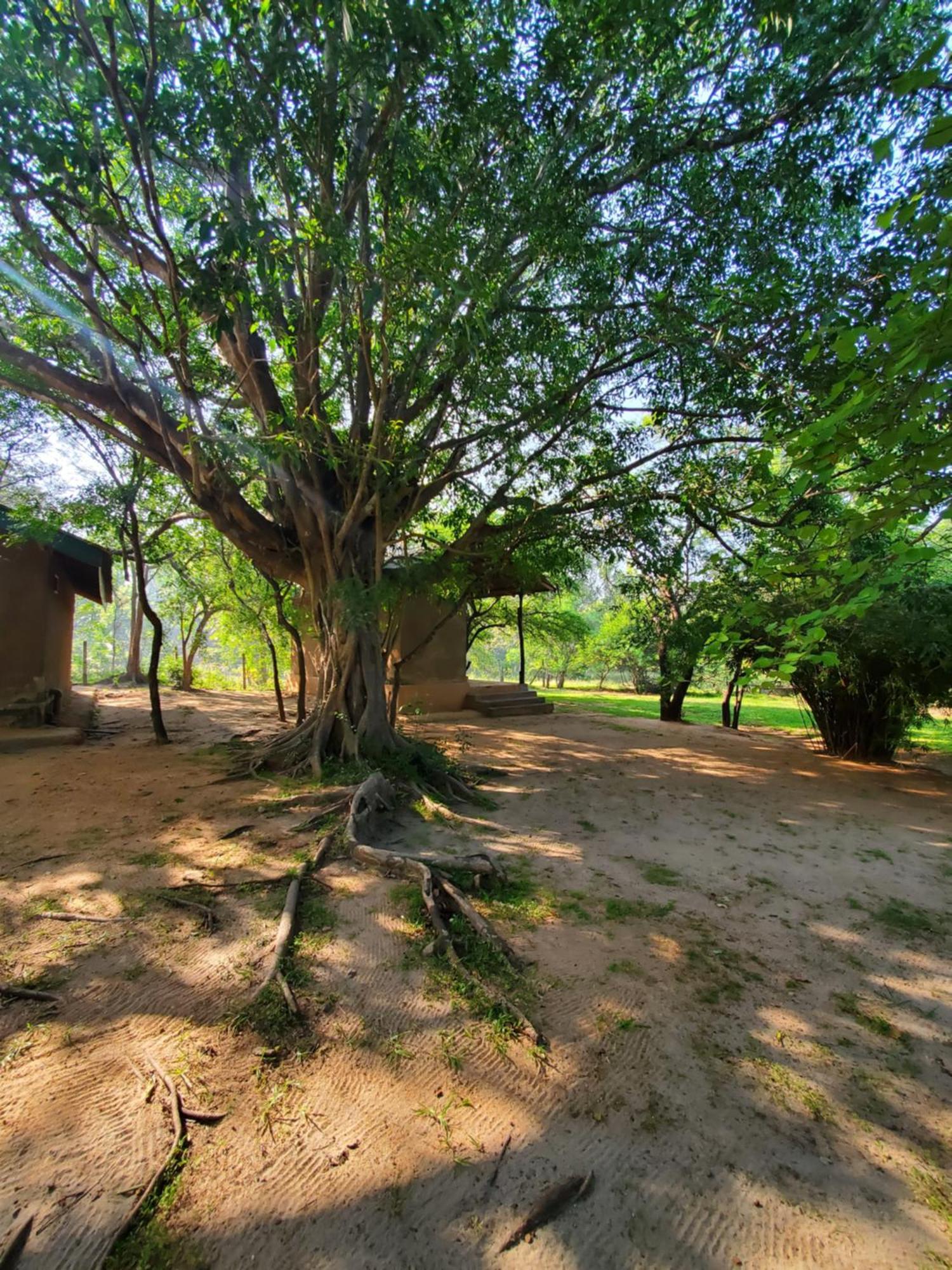 Clay Hut Village Polonnaruva Kültér fotó